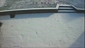 Caméra IP - Royaume-Uni