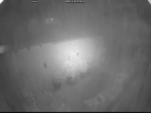 Caméra IP - Pakistan