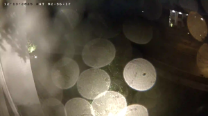 Caméra IP - United States of America