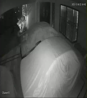 Caméra IP - Pakistan