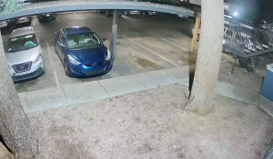 Caméra IP - United States of America