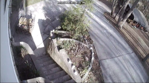 Caméra IP - United States of America