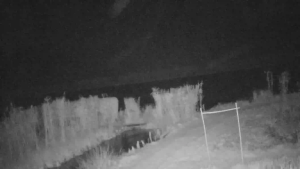 Caméra IP - Francia