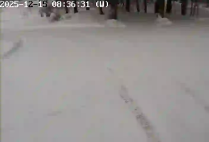 Caméra IP - Australie