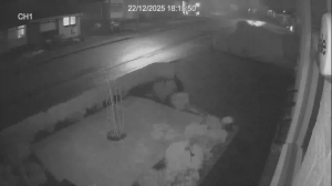 Caméra IP - Reino Unido