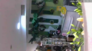 Caméra IP - Alemania