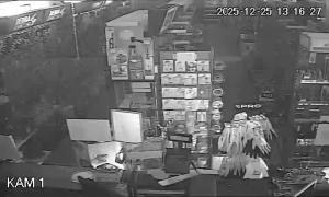 Caméra IP - Polonia