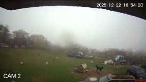 Caméra IP - Bulgaria