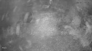 Caméra IP - South Korea