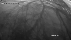 Caméra IP - República de Corea