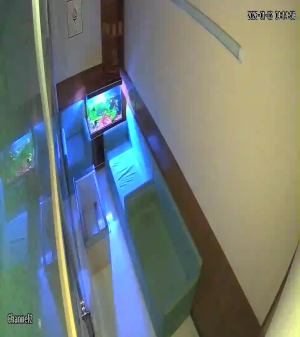 Caméra IP - Bangladesh