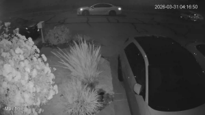 Caméra IP - United States of America