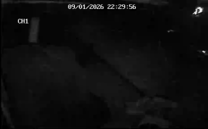 Caméra IP - Alemania