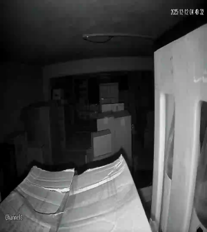 Caméra IP - Mexique