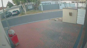 Caméra IP - Vue en direct