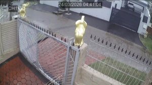 Caméra IP - Sudafrica