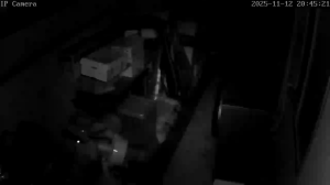 Caméra IP - South Korea