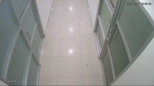 Caméra IP - Malesia