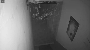 Caméra IP - South Korea