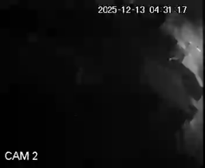 Caméra IP - Turquía