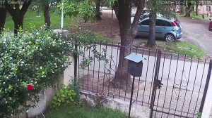 Caméra IP - Argentina