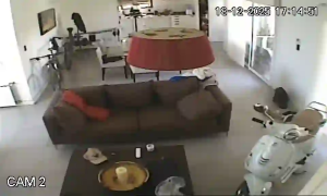 Caméra IP - Estados Unidos