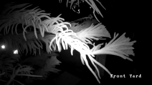 Caméra IP - États-Unis d'Amérique