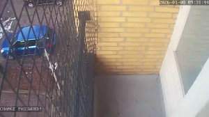 Caméra IP - Paesi Bassi