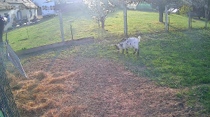 Caméra IP - Frankreich