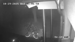 Caméra IP - Alemania