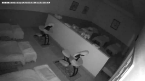 Caméra IP - United States of America