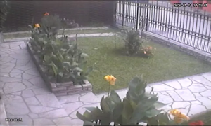 Caméra IP - Argentina