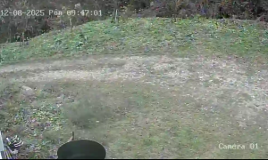 Caméra IP - Bosnien und Herzegowina