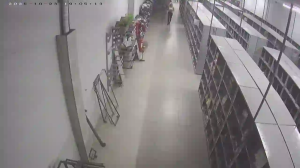 Caméra IP - Brésil