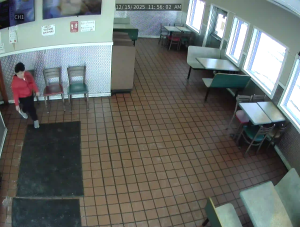 Caméra IP - United States of America