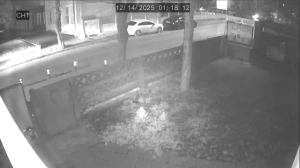 Caméra IP - Rumanía