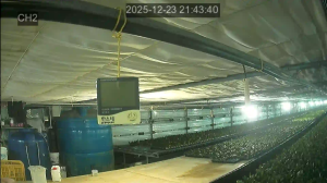 Caméra IP - South Korea