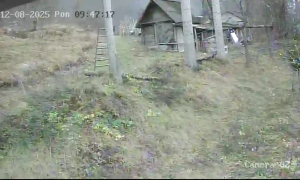 Caméra IP - Bosnien und Herzegowina