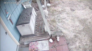 Caméra IP - Vereinigte Staaten von Amerika