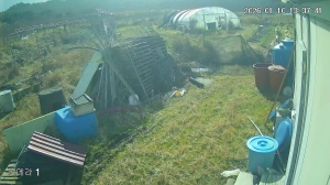 Caméra IP - South Korea