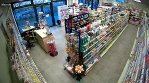 Caméra IP - Estonia