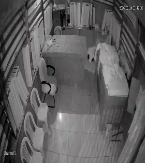 Caméra IP - Saudi Arabia