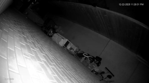 Caméra IP - Belgium