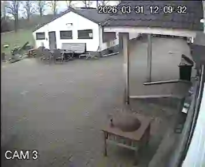 Caméra IP - Netherlands