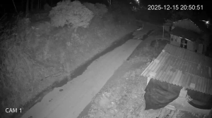 Caméra IP - Vietnam