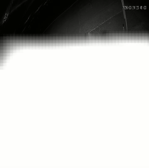 Caméra IP - Algerien