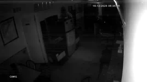 Caméra IP - Spanien