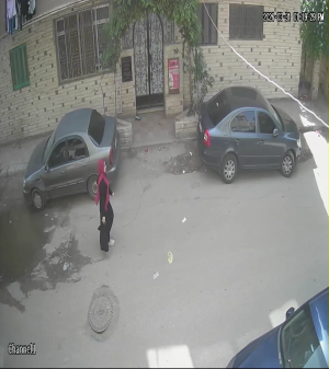 Caméra IP - Égypte