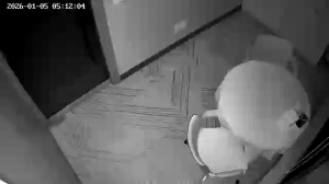 Caméra IP - South Korea