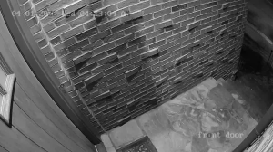 Caméra IP - United States of America